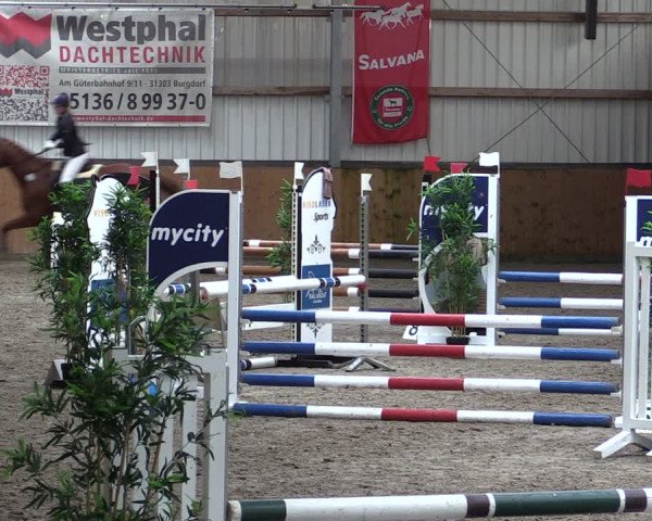 Reitturnier Schlieckau 2024