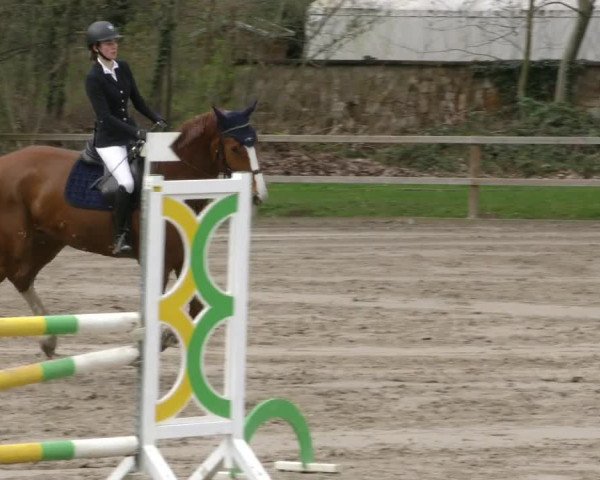 Reitturnier Hildesheim-Steuerwald 2024
