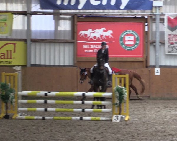 Reitturnier Schlieckau 2024