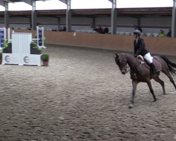 Reitturnier Schlieckau 2024