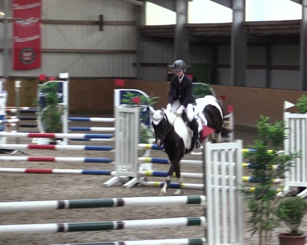 Reitturnier Schlieckau 2024