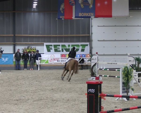 Reitturnier Borken 2024
