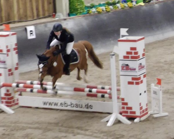 Reitturnier Weil der Stadt 2024