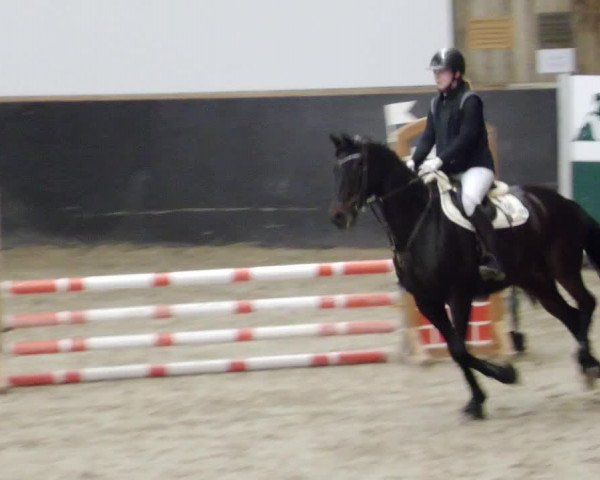 Reitturnier Weil der Stadt 2024