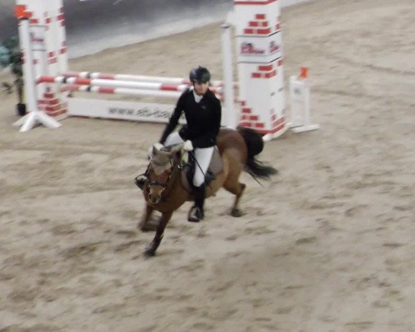 Reitturnier Weil der Stadt 2024