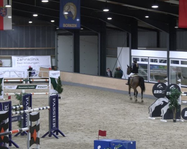 Reitturnier Borken 2024