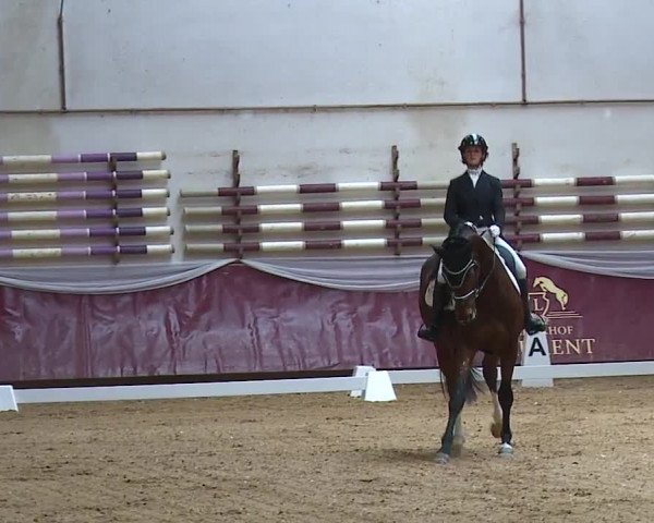 Reitturnier Eicherloh RH Laurent/Obb. 2024