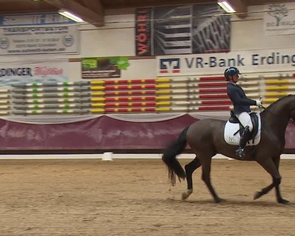 Reitturnier Eicherloh RH Laurent/Obb. 2024