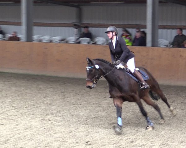Reitturnier Schlieckau 2024