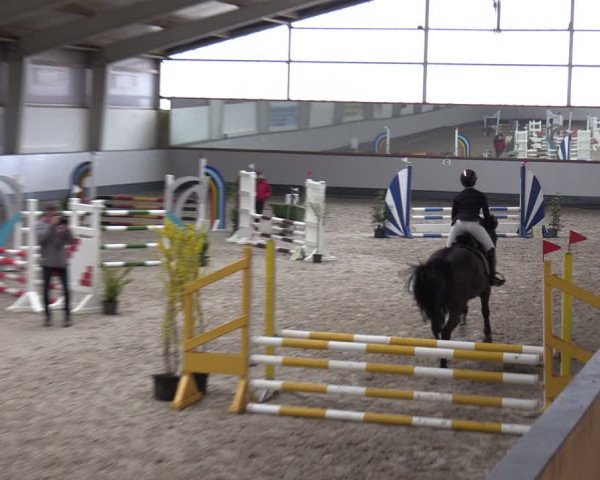 Reitturnier Münchehofe 2024