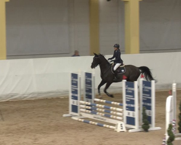 Reitturnier Stadl-Paura 2024