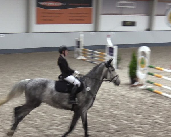Reitturnier Münchehofe 2024