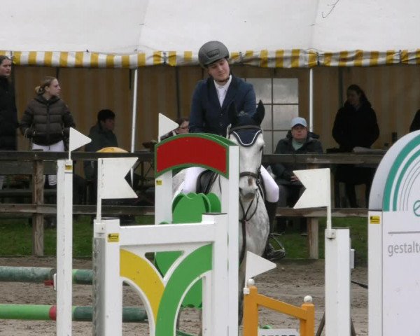 Reitturnier Hildesheim-Steuerwald 2024