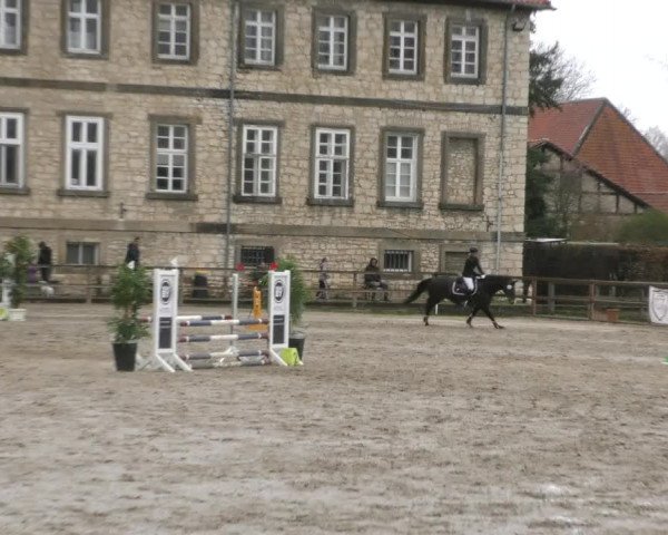 Reitturnier Hildesheim-Steuerwald 2024