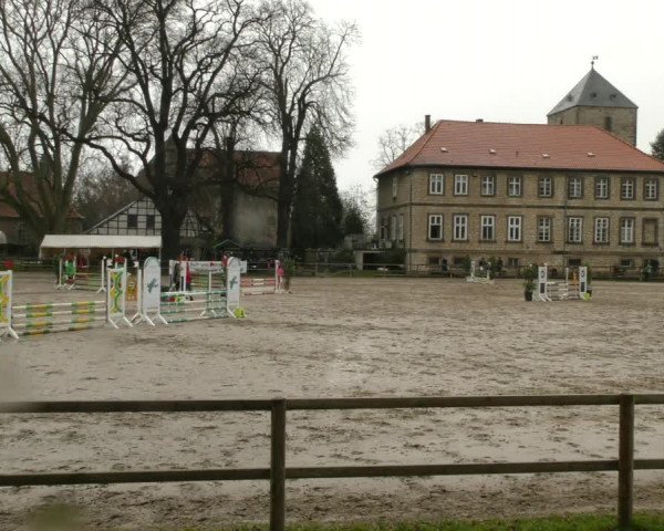 Reitturnier Hildesheim-Steuerwald 2024
