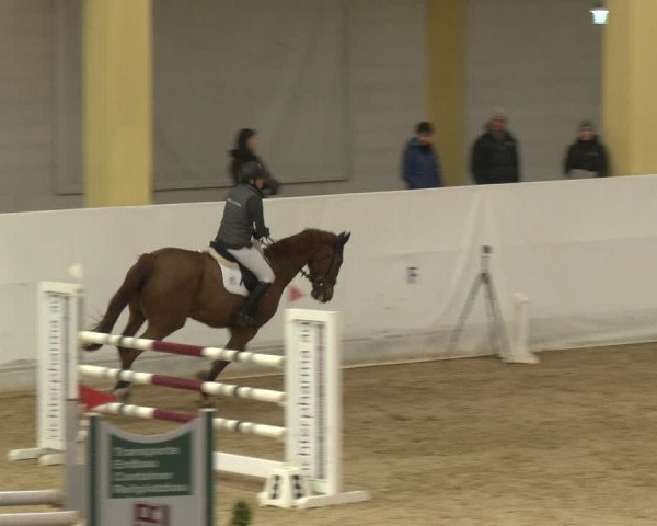 Reitturnier Stadl-Paura 2024