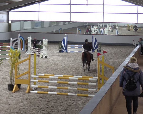 Reitturnier Münchehofe 2024