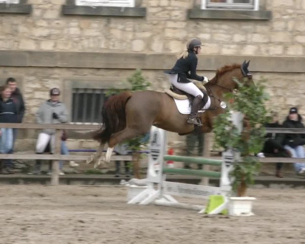 Reitturnier Hildesheim-Steuerwald 2024