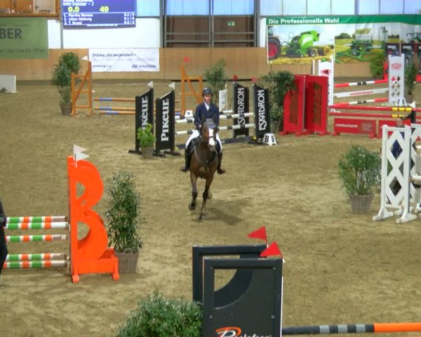 Reitturnier Borgholzhausen-Westbarthausen 2024
