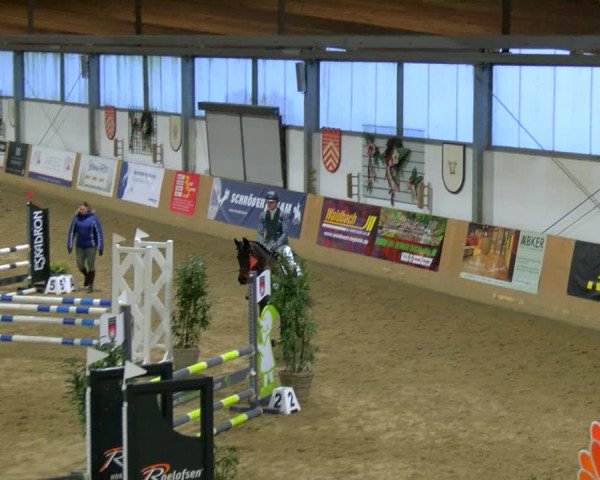 Reitturnier Borgholzhausen-Westbarthausen 2024
