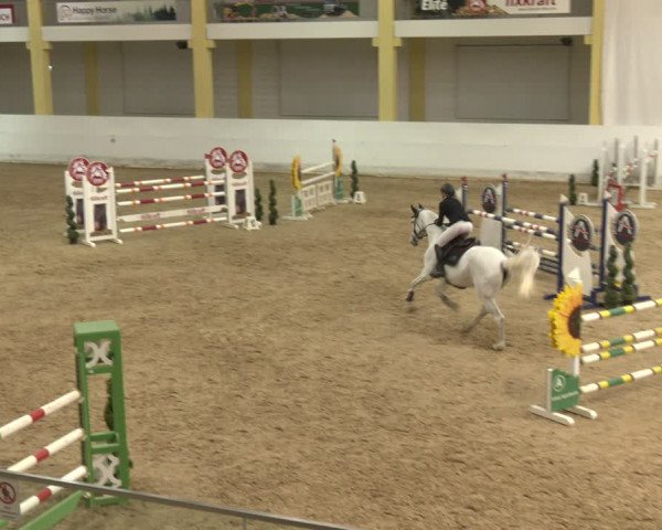 Reitturnier Stadl-Paura 2024