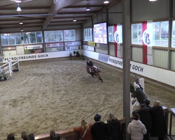 Reitturnier Goch 2024