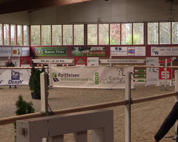 Freispringwettbewerb Ennigerloh 2024