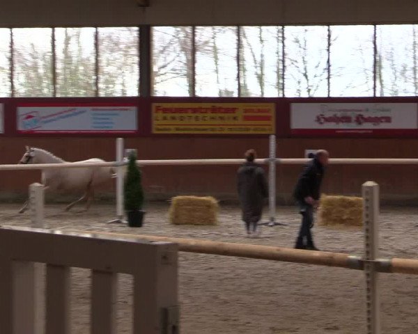 Freispringwettbewerb Ennigerloh 2024