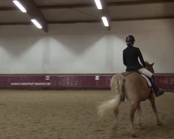 Reitturnier Eicherloh RH Laurent/Obb. 2024