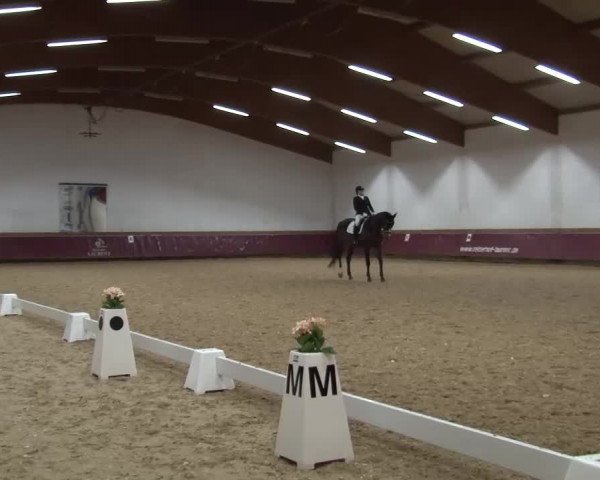 Reitturnier Eicherloh RH Laurent/Obb. 2024