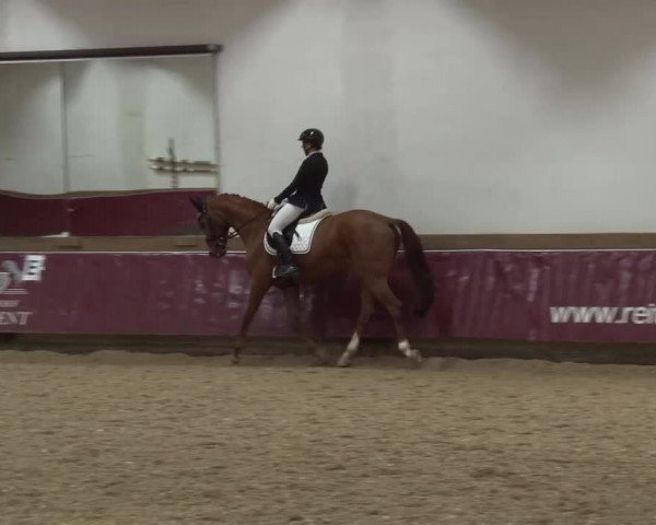 Reitturnier Eicherloh RH Laurent/Obb. 2024
