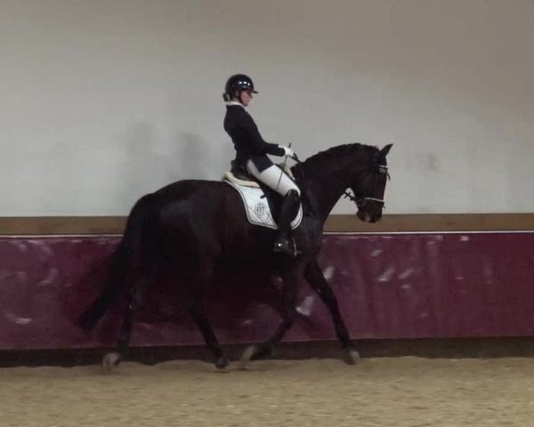Reitturnier Eicherloh RH Laurent/Obb. 2024