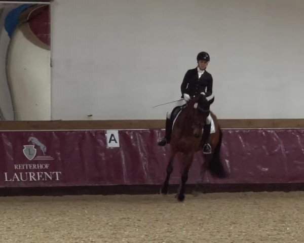 Reitturnier Eicherloh RH Laurent/Obb. 2024
