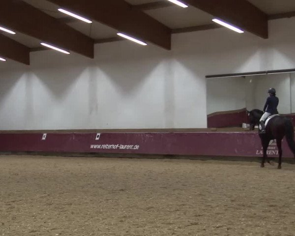 Reitturnier Eicherloh RH Laurent/Obb. 2024