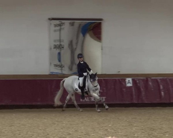 Reitturnier Eicherloh RH Laurent/Obb. 2024