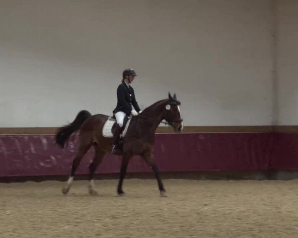 Reitturnier Eicherloh RH Laurent/Obb. 2024