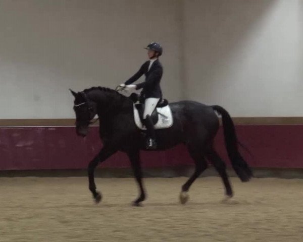 Reitturnier Eicherloh RH Laurent/Obb. 2024