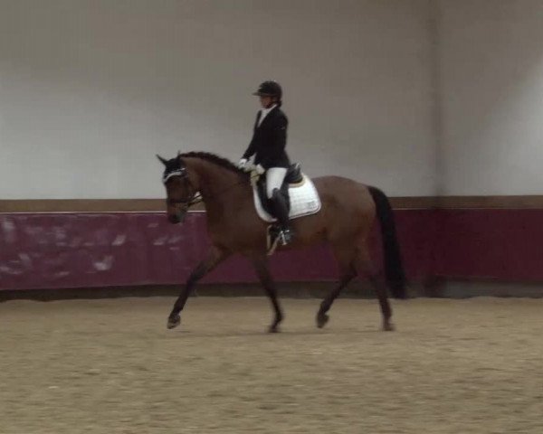 Reitturnier Eicherloh RH Laurent/Obb. 2024