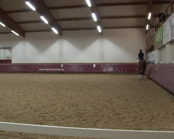 Reitturnier Eicherloh RH Laurent/Obb. 2024