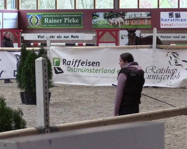 Freispringwettbewerb Ennigerloh 2024