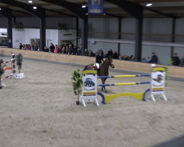 Reitturnier Borken 2024