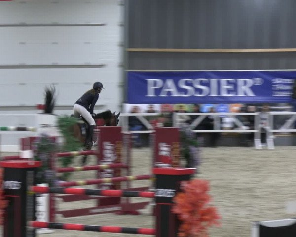 Reitturnier Borken 2024