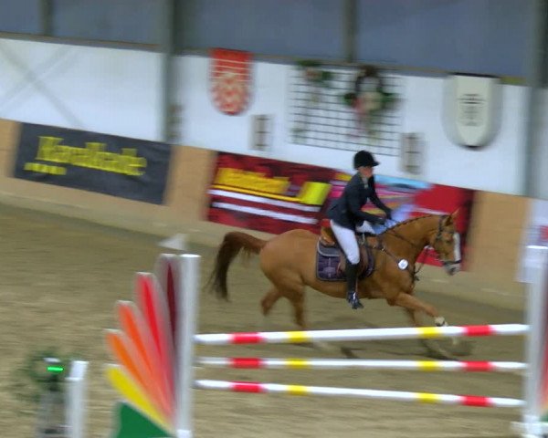 Reitturnier Borgholzhausen-Westbarthausen 2024