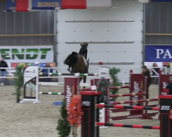 Reitturnier Borken 2024