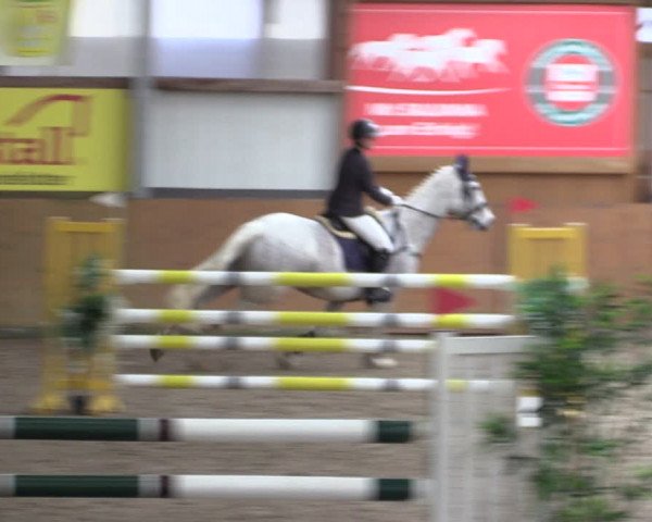 Reitturnier Schlieckau 2024