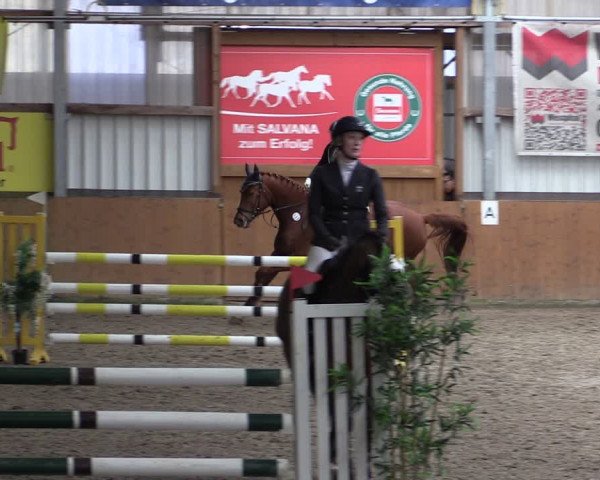 Reitturnier Schlieckau 2024