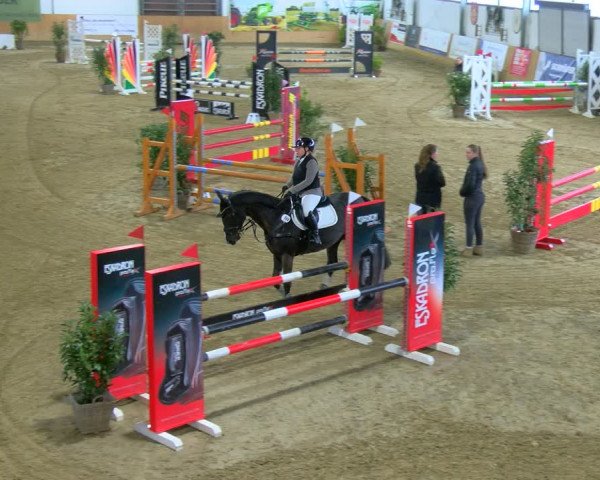 Reitturnier Borgholzhausen-Westbarthausen 2024