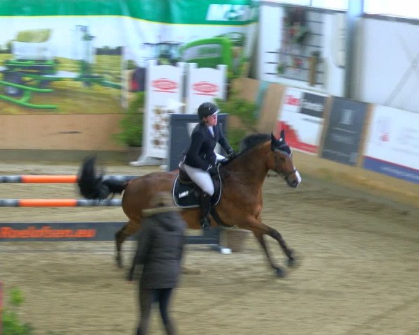 Reitturnier Borgholzhausen-Westbarthausen 2024