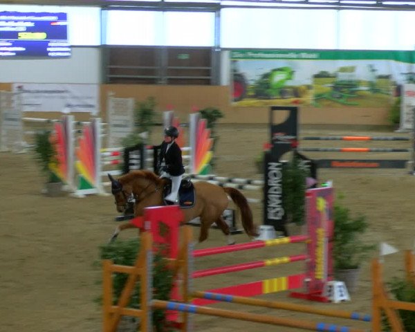 Reitturnier Borgholzhausen-Westbarthausen 2024