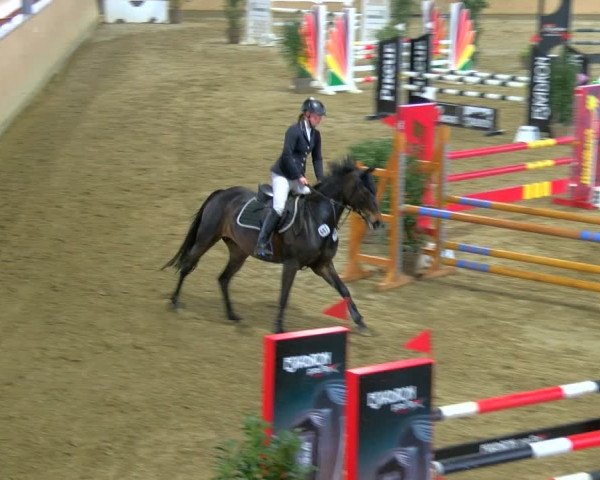 Reitturnier Borgholzhausen-Westbarthausen 2024